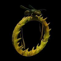 Ring with a wasp