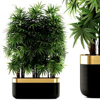 Plants collection 486