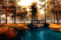 Autumn forest river scene Primeval Outskirts Wilderness