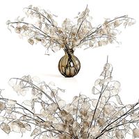 A bouquet of lunaria