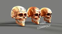 skull