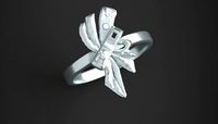 Ring 1