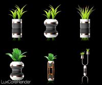 Potted Indoor House Plants