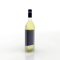 Bottle 3D Model