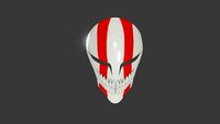 Hollow Mask Bleach