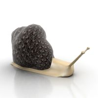 Snail 3D Model