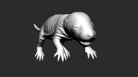 Rat Baby Newborn Zbrush Sculpt