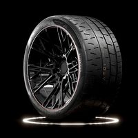 Pirelli PZERO Trofeo R