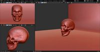 Skull