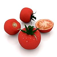 Tomatoes 3D Model