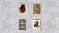 Quadros Decorativos por Rafaela Grimm - Liv Galeria