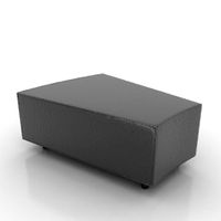 Segment 3D Model