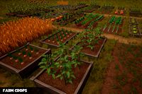 Farm Crops