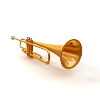 Trumplet 3D Model