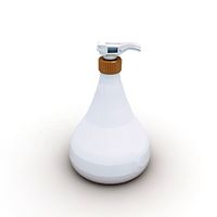 Bottle 3D Model