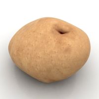 Potato 3D Model