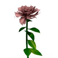 Flower 3D Model