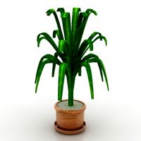 Flower 3D Model