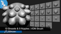 19 Breasts And Nipples - Zbrush VDM Brush