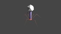 Bacteriophage Low Poly