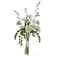 Diane James White Allium And Beech Branches in Tall Glass Vase