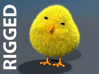 3D Chick - rigged