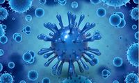 CORONA VIRUS COVID19