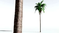 EVERYPlant Coconut Palm 01 --18 Models--