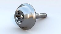 Security Screw