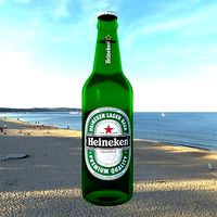 Heineken Beer Bottle