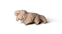 Tardigrade Minecraft Voxel