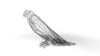 Parrot Wireframe