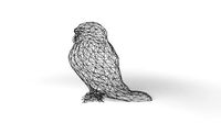 Owl Wireframe