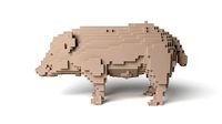 Wildboar Minecraft Voxel
