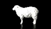 Sheep Minecraft Voxel