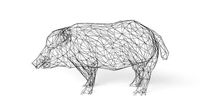 Wildboar Wireframe