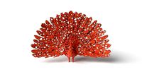 Peafowl Voronoi