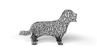 Terrier Wireframe