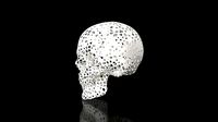 Skull Voronoi