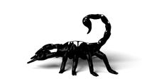 Scorpion Dust Voronoi