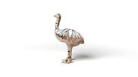 Ostrich Dust Voronoi