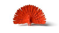 Peafowl Dust Voronoi