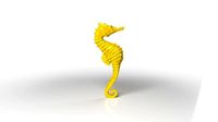 Seahorse Low Poligonal