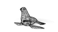 Seal Wireframe