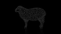 Sheep Wireframe
