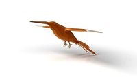 FlyingHummingbird Low Poligonal