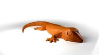 GecoRhino Low Poligonal
