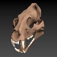 Tiger Skull