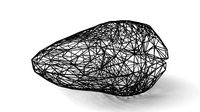 Clam Wireframe