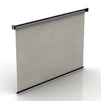 Screen 3D Model